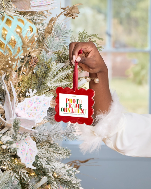 Frame Ornament